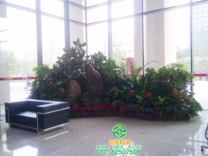 植物场景摆放大堂案例