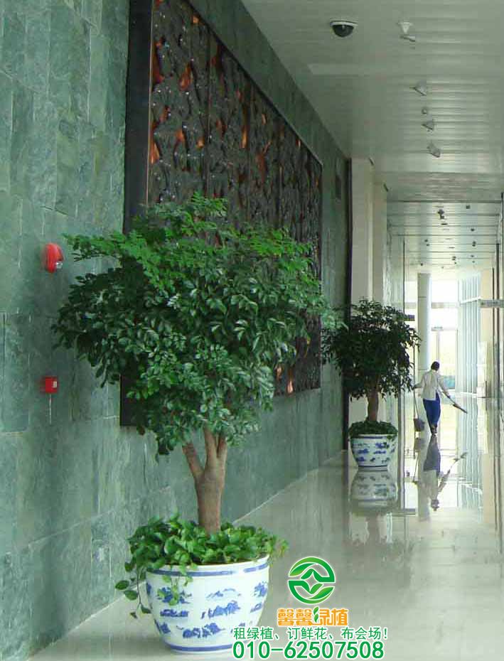 大幸福摆放大堂案例
