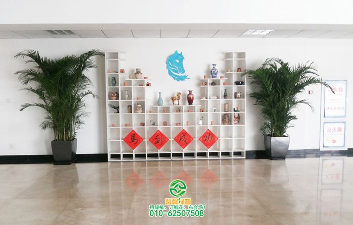 散尾组合摆放大堂案例