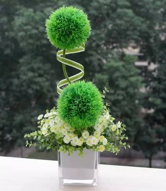 绿植艺术赏析