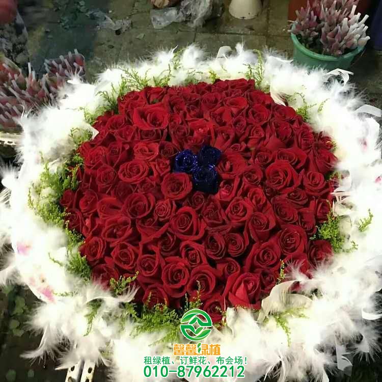 鲜花系列欣赏