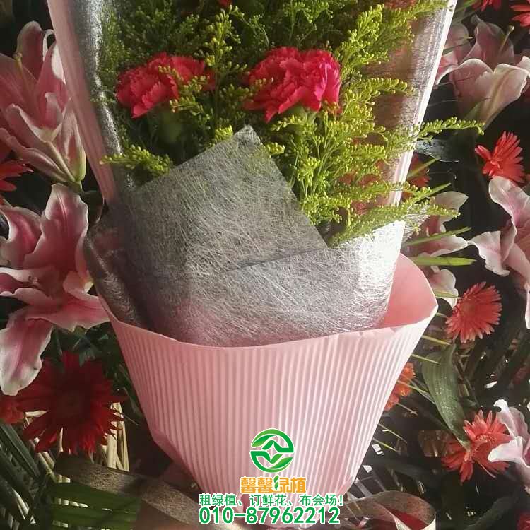 鲜花系列欣赏