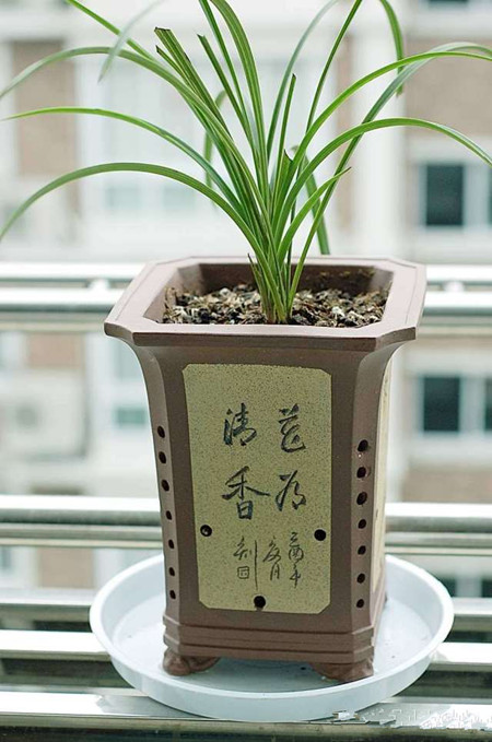 你知道怎样选择「花盆」吗？