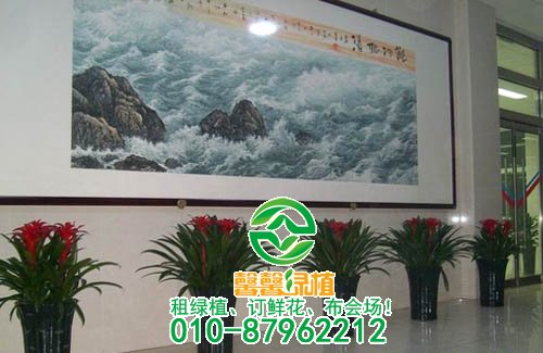 如何选择组合盆栽的花盆